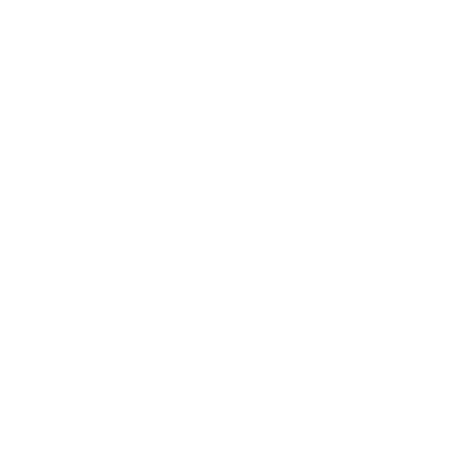 suitcase and camera icon